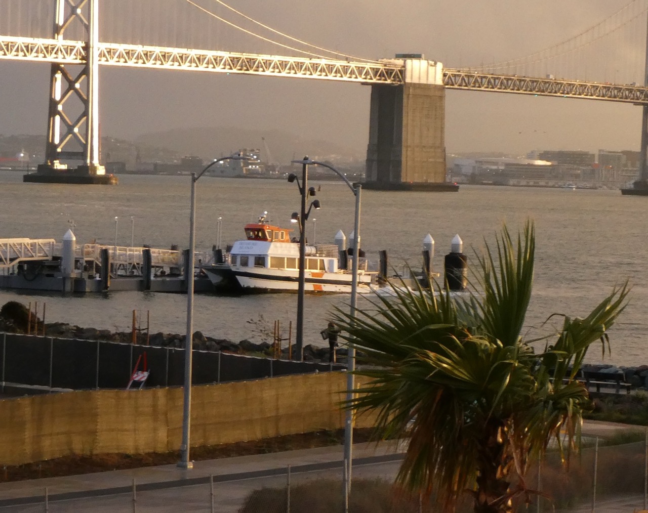 Photo taken near sunset of orange-topped ferry boat at the Treasure Island terminal, with a a palm tree in the foreground and the Bay Bridge in the background.