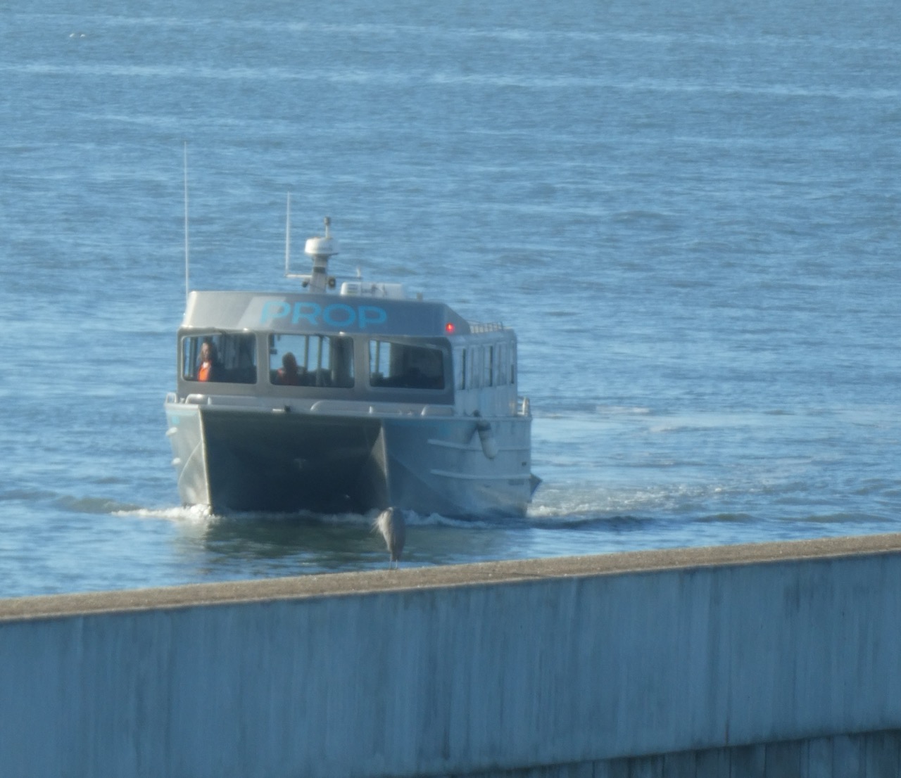 Single-level ferry boat on the bay with a concrete seawall in the foreground.